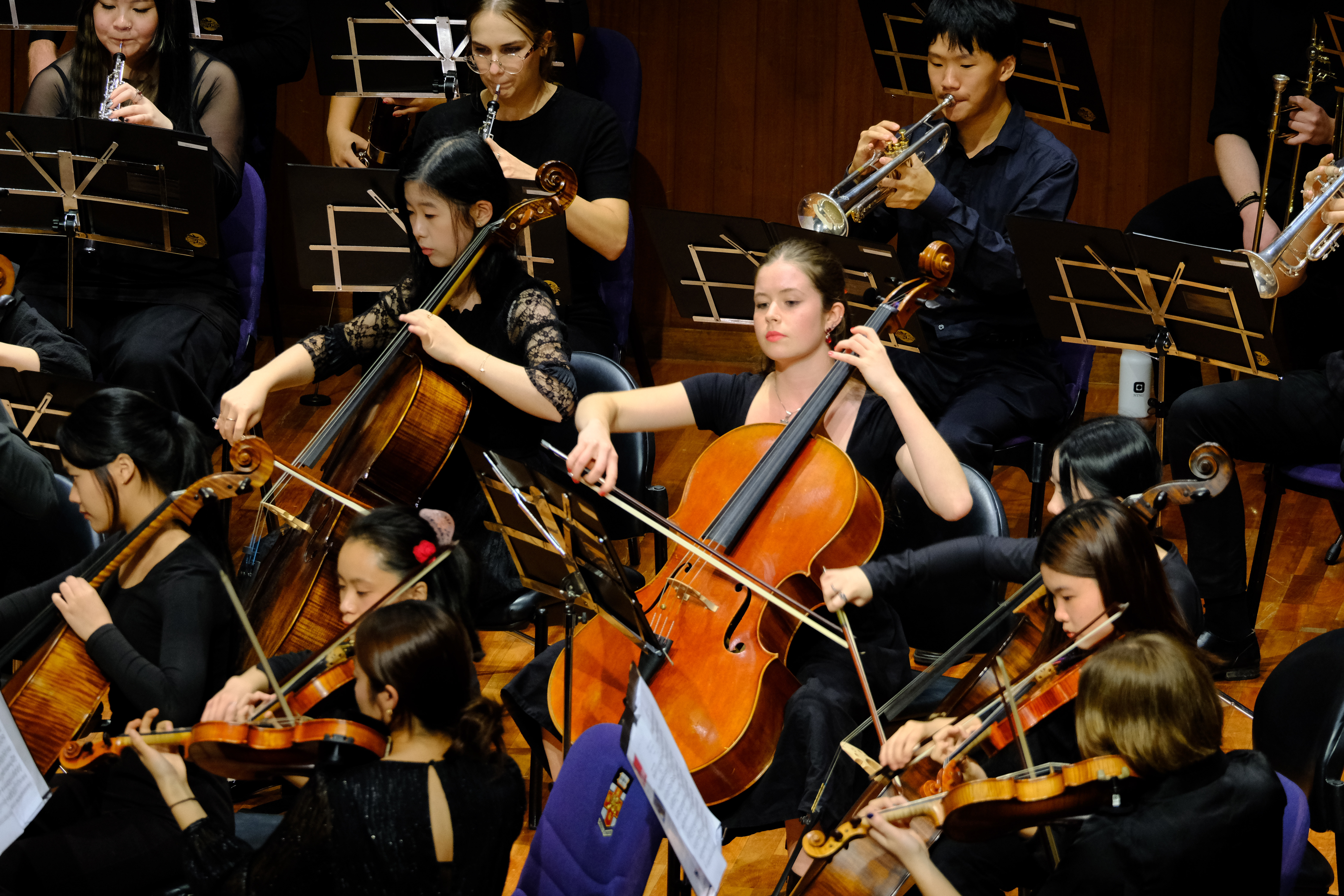 Orchestra cello section