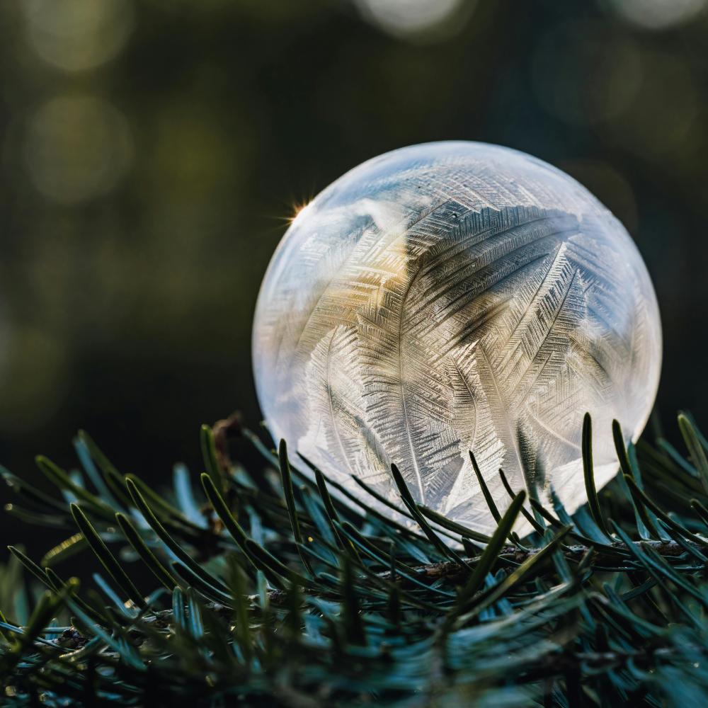 bubble on tree with feathers